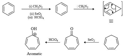 Nitrenes and Carbenes: Stability & Reactions | Organic Chemistry