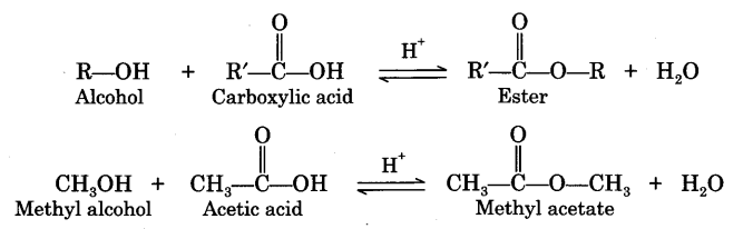 Identification of Functional Groups by Chemical Tests | Organic Chemistry