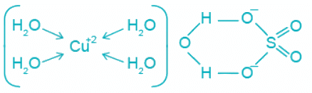 Solved Practice Questions on VSEPR Theory and Shapes of Molecules | Inorganic Chemistry