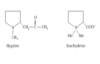 Alkaloids-Bio-Molecules | Organic Chemistry