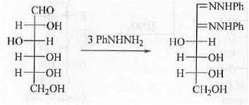 Points to Remember: Biomolecules | Organic Chemistry