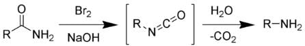 The Hofmann rearrangement. 