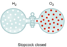 Ideal Gas Laws & their Graphical Representation | Physical Chemistry