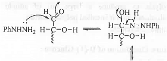 Points to Remember: Biomolecules | Organic Chemistry