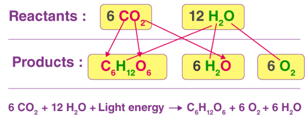 Acid Base & Redox Reactions | Inorganic Chemistry