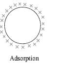 Adsorption, Types of Adsorption & Adsorption Isotherms | Physical Chemistry