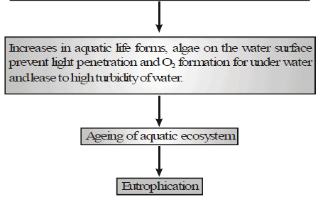 Types of Pollution | Biology for Grade 9