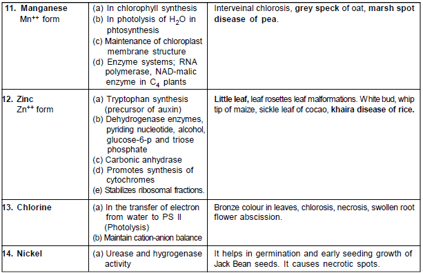 Important,Chapter,Notes,Mineral,Nutrition,Class,11,Biology