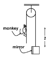 JEE Advanced (Single Correct Type): Laws of Motion | Chapter-wise Tests for JEE Main & Advanced