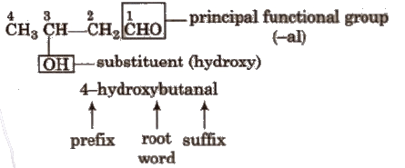 Nomenclature of Organic Compounds | Chemistry Class 11 - NEET