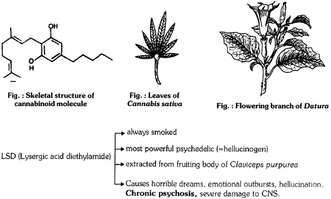 Chapter Notes - Immunity and Disease, Class 12, Biology (AIPMT)