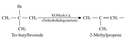 NCERT Solutions Class 12 Chemistry Chapter 6 - Haloalkanes & Haloarenes
