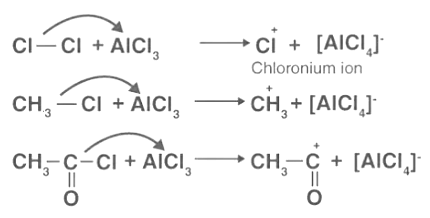 Electrophilic Substitution: Definition, Reaction & Mechanism - JEE