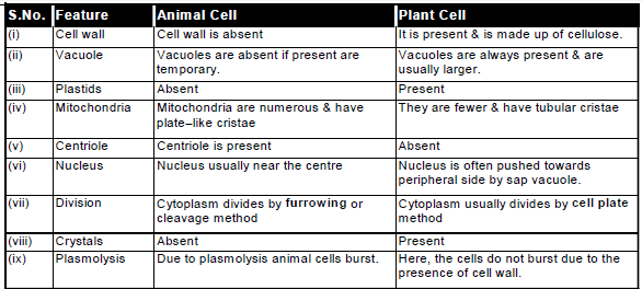 Cell Biology, Chapter Notes, Class 11, Biology
