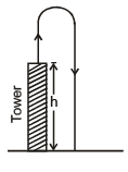 Motion under Gravity - JEE