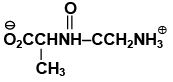 Single Correct MCQs: Biomolecules | Question Bank for JEE Main & Advanced (350+ Tests)