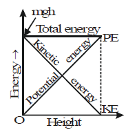 Kinetic Energy and the Law of Conservation of Energy | Science Class 9