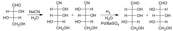 Biomolecules Class 11 Notes Biology Chapter 9