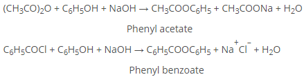 Alcohols, Phenols & Ethers Class 12 Notes Chemistry Chapter 7