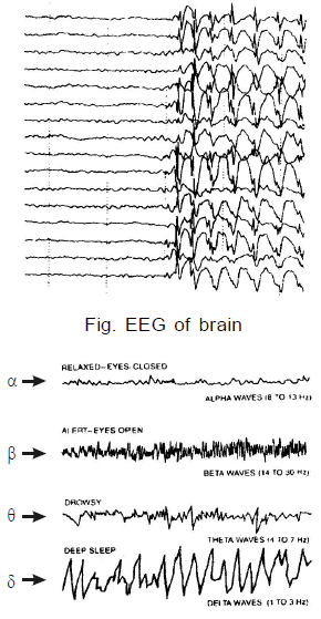 Chapter Notes - Immunity and Disease, Class 12, Biology (AIPMT)