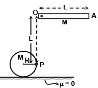 JEE Advanced (Single Correct Type): Rotational Motion | Chapter-wise Tests for JEE Main & Advanced