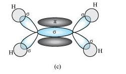NCERT Solutions Class 11 Chemistry Chapter 4 - Chemical Bonding & Molecular Structure