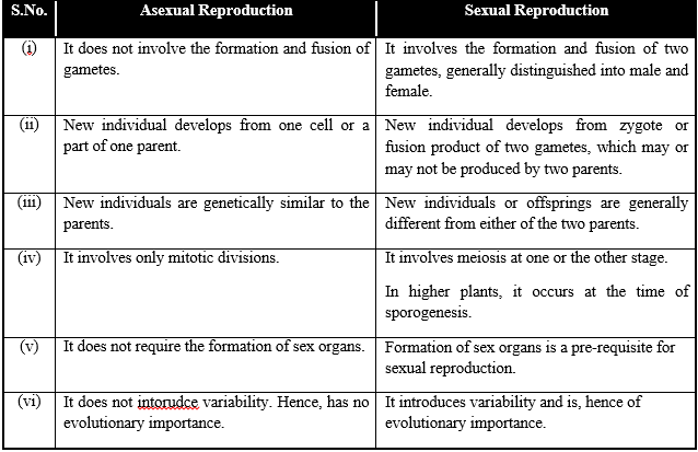 Sexual Reproduction in Flowering Plants, Chapter Notes, Class 12, Biology, Part -2