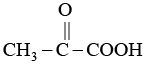 JEE Advanced (One or More Correct Option): Hydrocarbons | Chapter-wise Tests for JEE Main & Advanced