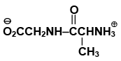Single Correct MCQs: Biomolecules | Question Bank for JEE Main & Advanced (350+ Tests)