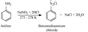 NCERT Solutions Class 12 Chemistry Chapter 9 - Amines