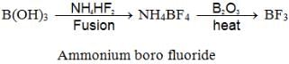 The p-Block Elements Class 11 Notes Chemistry
