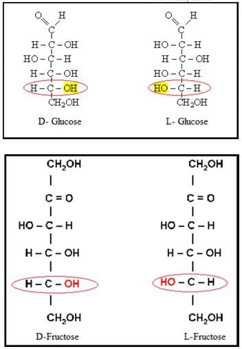 Biomolecules Class 11 Notes Biology Chapter 9