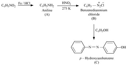 NCERT Solutions Class 12 Chemistry Chapter 9 - Amines