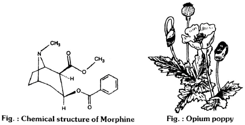 Chapter Notes - Immunity and Disease, Class 12, Biology (AIPMT)