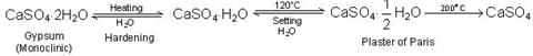 The s-Block Elements Class 11 Notes Chemistry