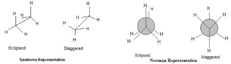 Hydrocarbons Class 11 Notes Chemistry Chapter 9
