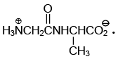 Single Correct MCQs: Biomolecules | Question Bank for JEE Main & Advanced (350+ Tests)