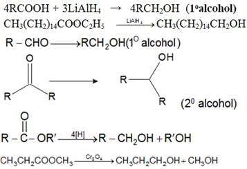 Alcohols, Phenols & Ethers Class 12 Notes Chemistry Chapter 7