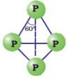 The p-Block Elements Class 11 Notes Chemistry