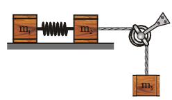 JEE Advanced (One or More Correct Option): Laws of Motion | Chapter-wise Tests for JEE Main & Advanced