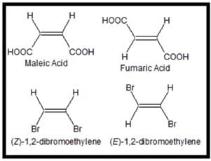 General Organic Chemistry Class 11 Notes Chemistry