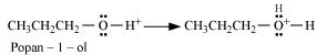 NCERT Solutions Class 12 Chemistry Chapter 7 - Alcohols, Phenols & Ethers