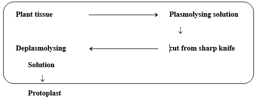 biology