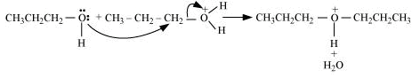 NCERT Solutions Class 12 Chemistry Chapter 7 - Alcohols, Phenols & Ethers