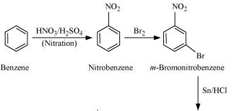 NCERT Solutions Class 12 Chemistry Chapter 9 - Amines