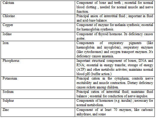 Digestive System, Chapter Notes, Class 11,Biology