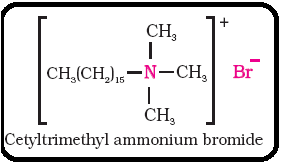 Chemistry in Everyday Life Class 11 Notes Chemistry Chapter 16