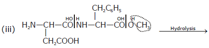 Previous Year Questions - Biomolecules (IIT - JEE Advanced)
