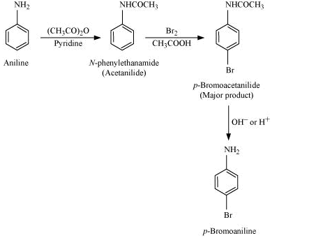 NCERT Solutions Class 12 Chemistry Chapter 9 - Amines