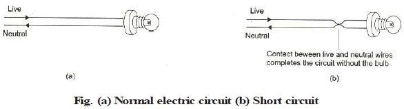 AC, DC Current & Domestic Circuits | Science Class 10